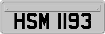 HSM1193