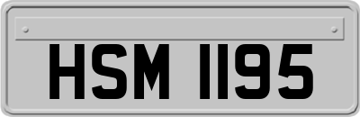 HSM1195