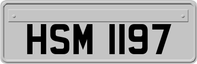 HSM1197