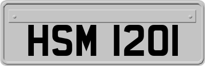 HSM1201