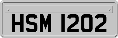 HSM1202