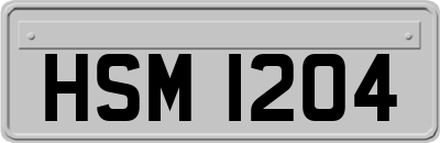 HSM1204