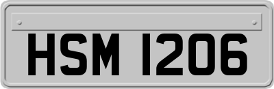 HSM1206