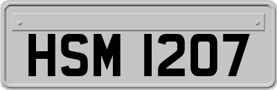 HSM1207