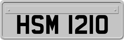 HSM1210
