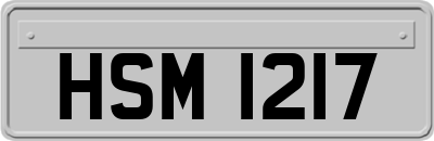 HSM1217