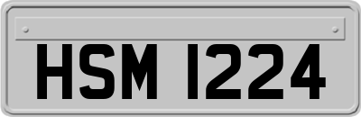 HSM1224