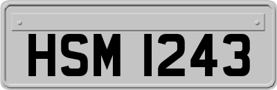 HSM1243