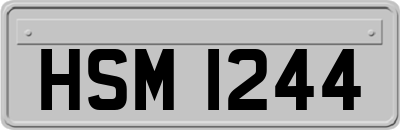 HSM1244