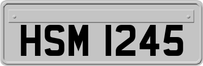 HSM1245