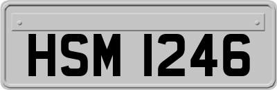 HSM1246