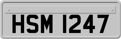 HSM1247