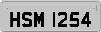 HSM1254