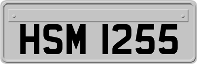 HSM1255