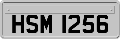 HSM1256