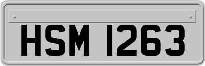 HSM1263