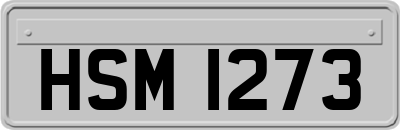 HSM1273