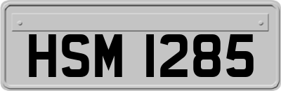 HSM1285