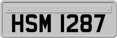 HSM1287