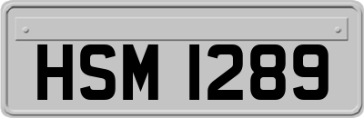 HSM1289