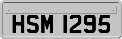 HSM1295