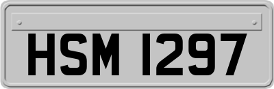 HSM1297