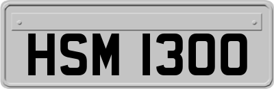 HSM1300