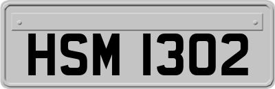 HSM1302