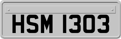HSM1303