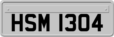 HSM1304