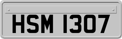 HSM1307