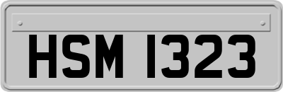 HSM1323