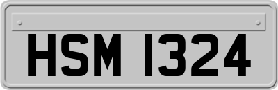 HSM1324