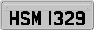 HSM1329