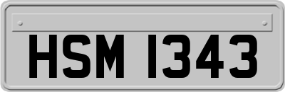 HSM1343