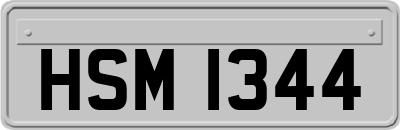 HSM1344