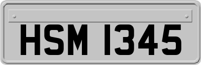 HSM1345