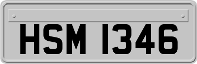 HSM1346