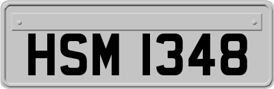 HSM1348