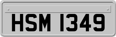 HSM1349