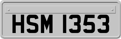 HSM1353