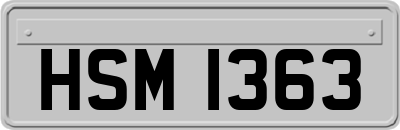 HSM1363