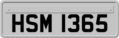 HSM1365