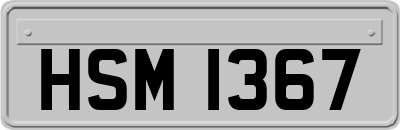 HSM1367
