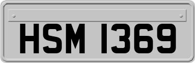 HSM1369