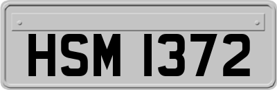HSM1372