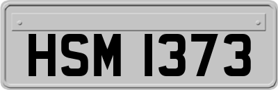 HSM1373