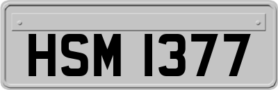 HSM1377