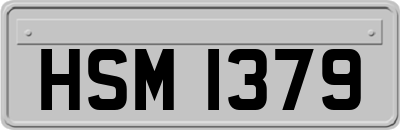 HSM1379