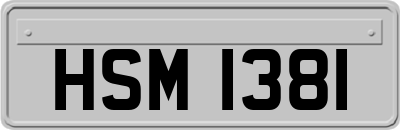 HSM1381